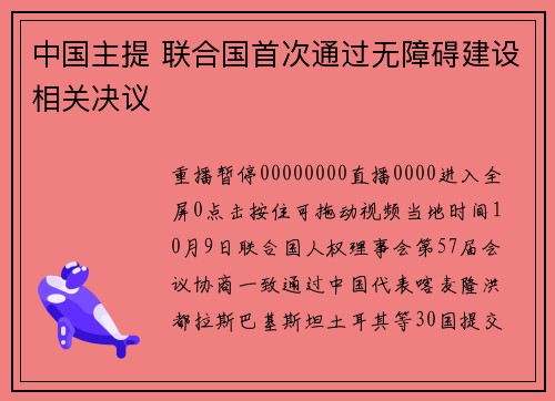 中国主提 联合国首次通过无障碍建设相关决议