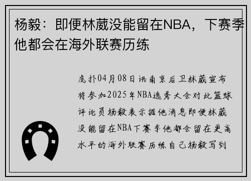 杨毅：即便林葳没能留在NBA，下赛季他都会在海外联赛历练