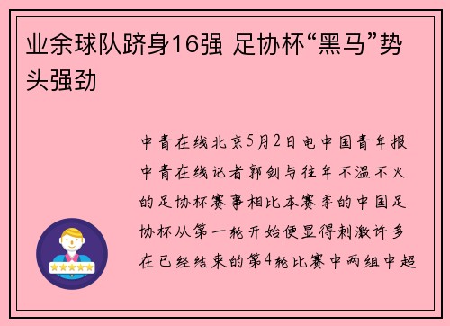 业余球队跻身16强 足协杯“黑马”势头强劲